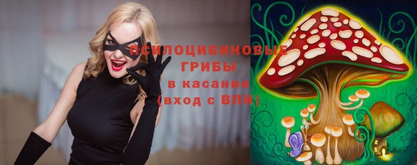 spice Новодвинск