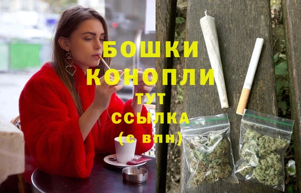 spice Новодвинск