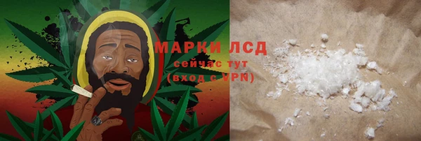 spice Новодвинск