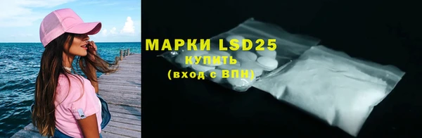 spice Новодвинск