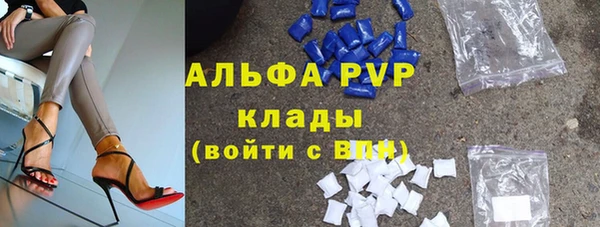 spice Новодвинск