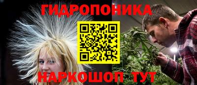 прущие крисы Гусиноозёрск