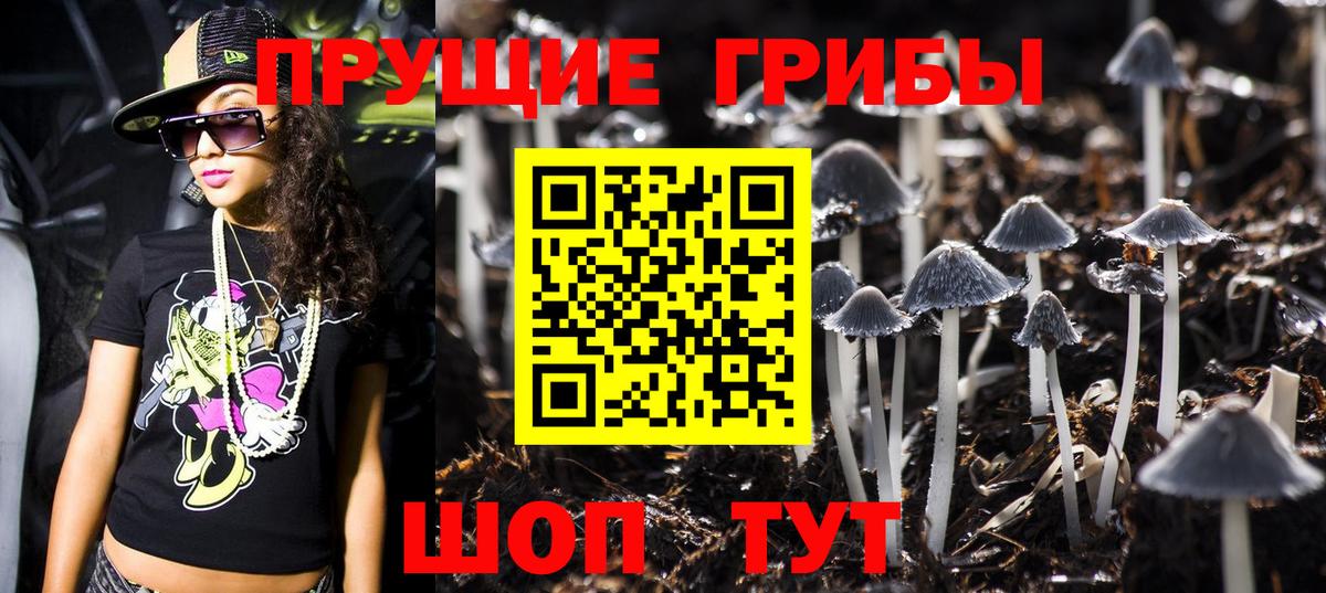 Галлюциногенные грибы Cubensis  хочу   Касимов 